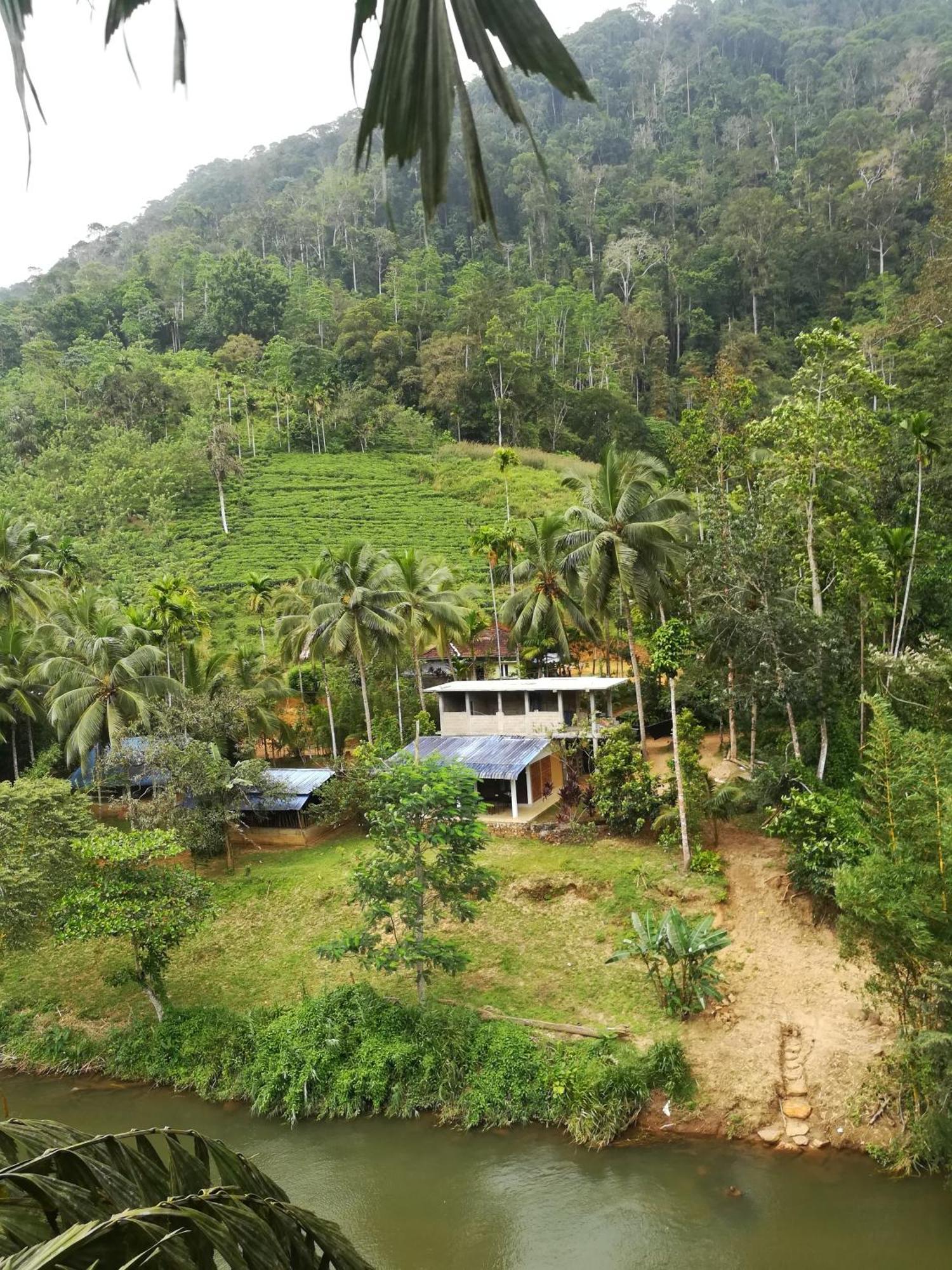 Sinharaja Vini Villa Deniyaya Room photo