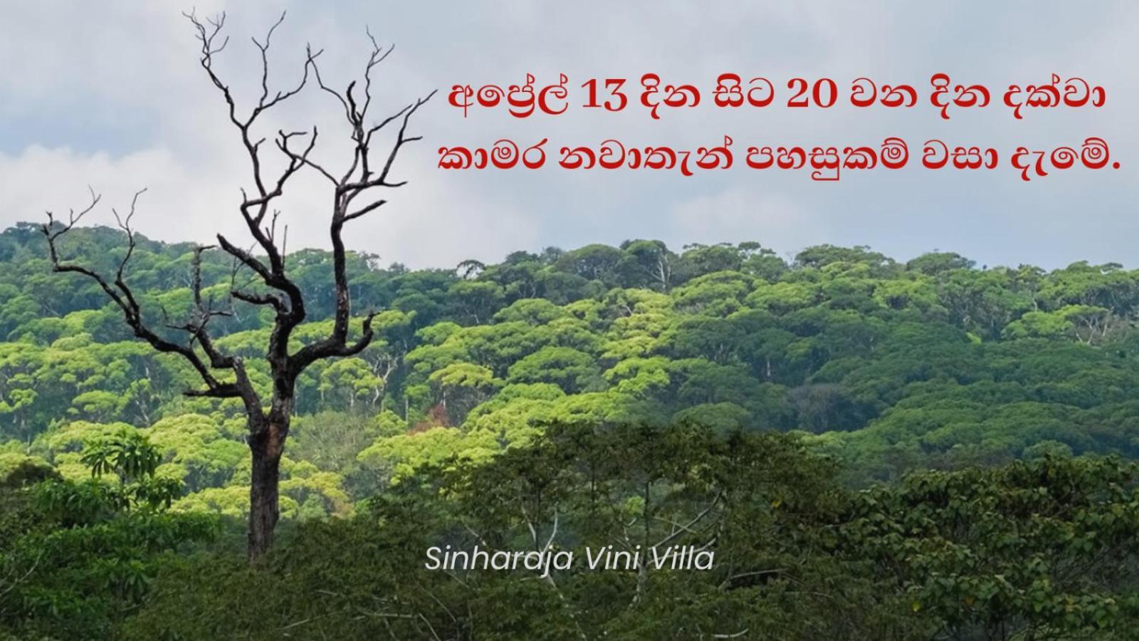 Sinharaja Vini Villa Deniyaya Exterior photo